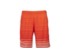 Robben Wesley Sneijder football soccer shorts